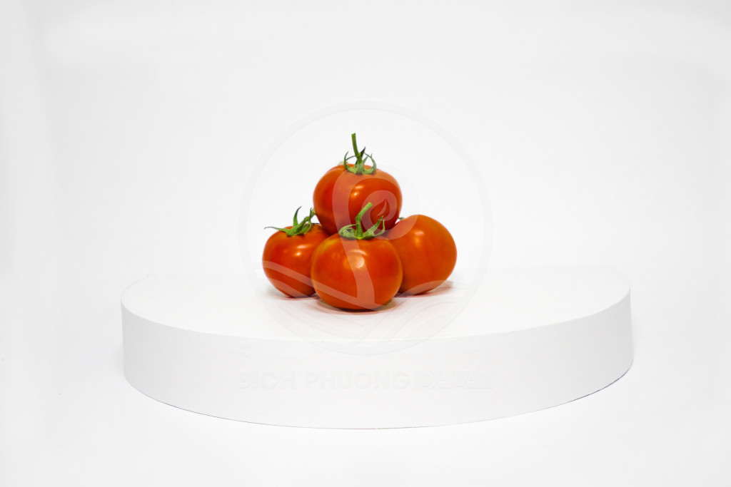 Cà chua Beefsteak Lớn - Trung